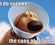cone_of_shame